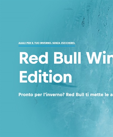 Redbull Winter Edition 2024